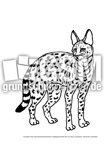 Luchs.pdf